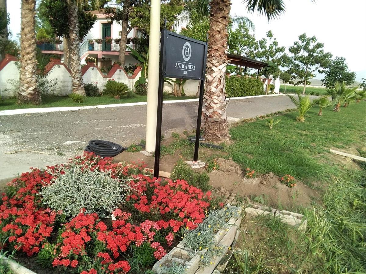 B&B Antica Hera Foce del Sele Εξωτερικό φωτογραφία